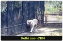 delhizookm